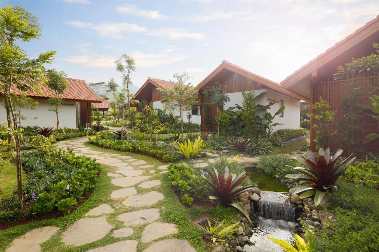 Hotel Dusun Bedugul Asri Zewnętrze zdjęcie