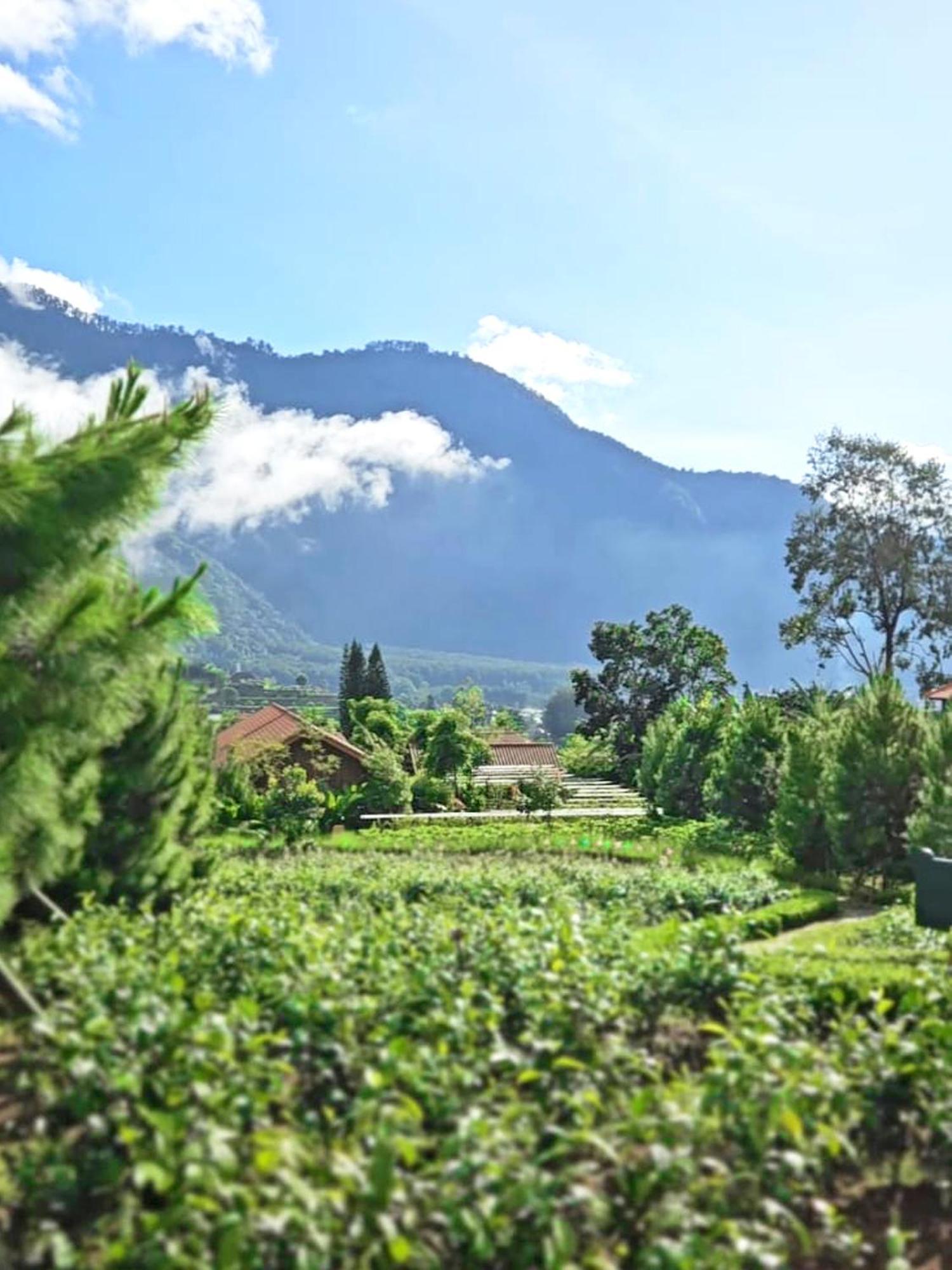 Hotel Dusun Bedugul Asri Zewnętrze zdjęcie