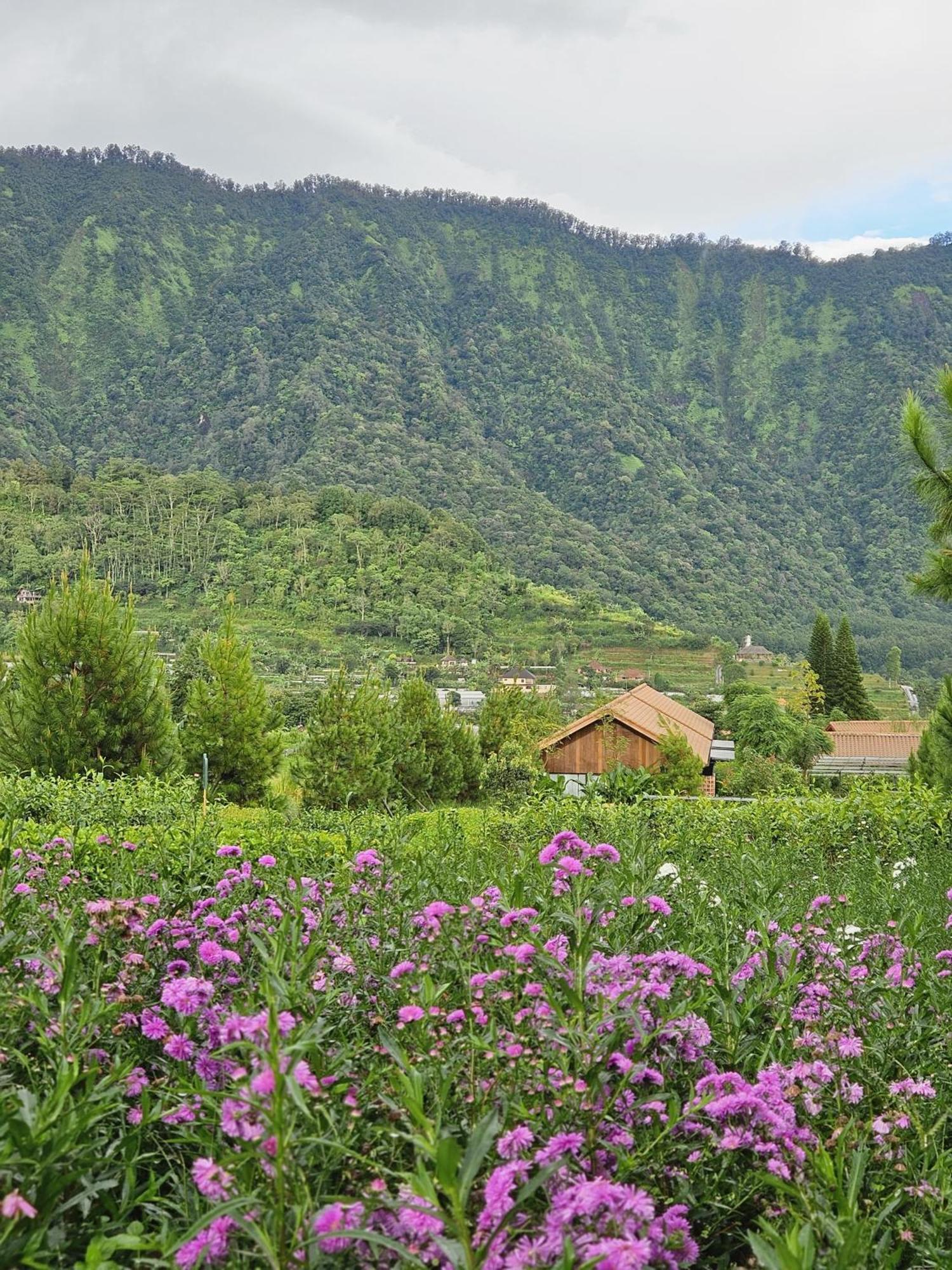 Hotel Dusun Bedugul Asri Zewnętrze zdjęcie