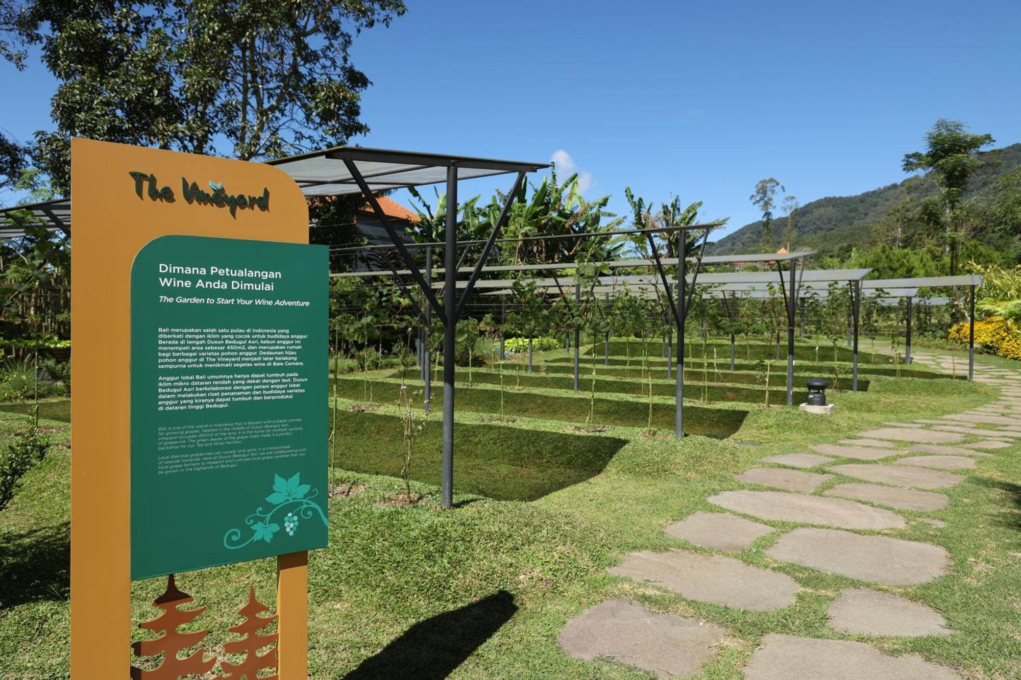 Hotel Dusun Bedugul Asri Zewnętrze zdjęcie