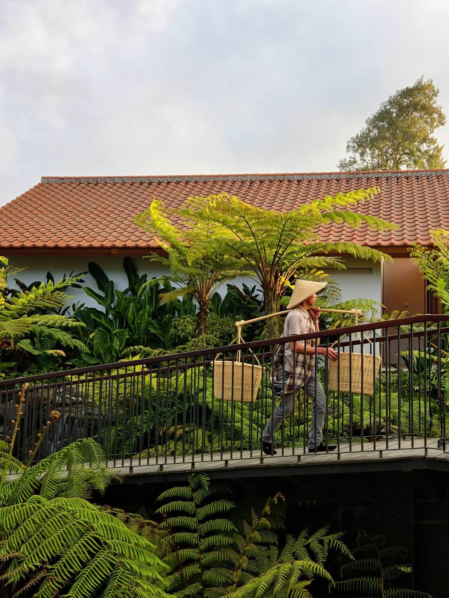 Hotel Dusun Bedugul Asri Zewnętrze zdjęcie