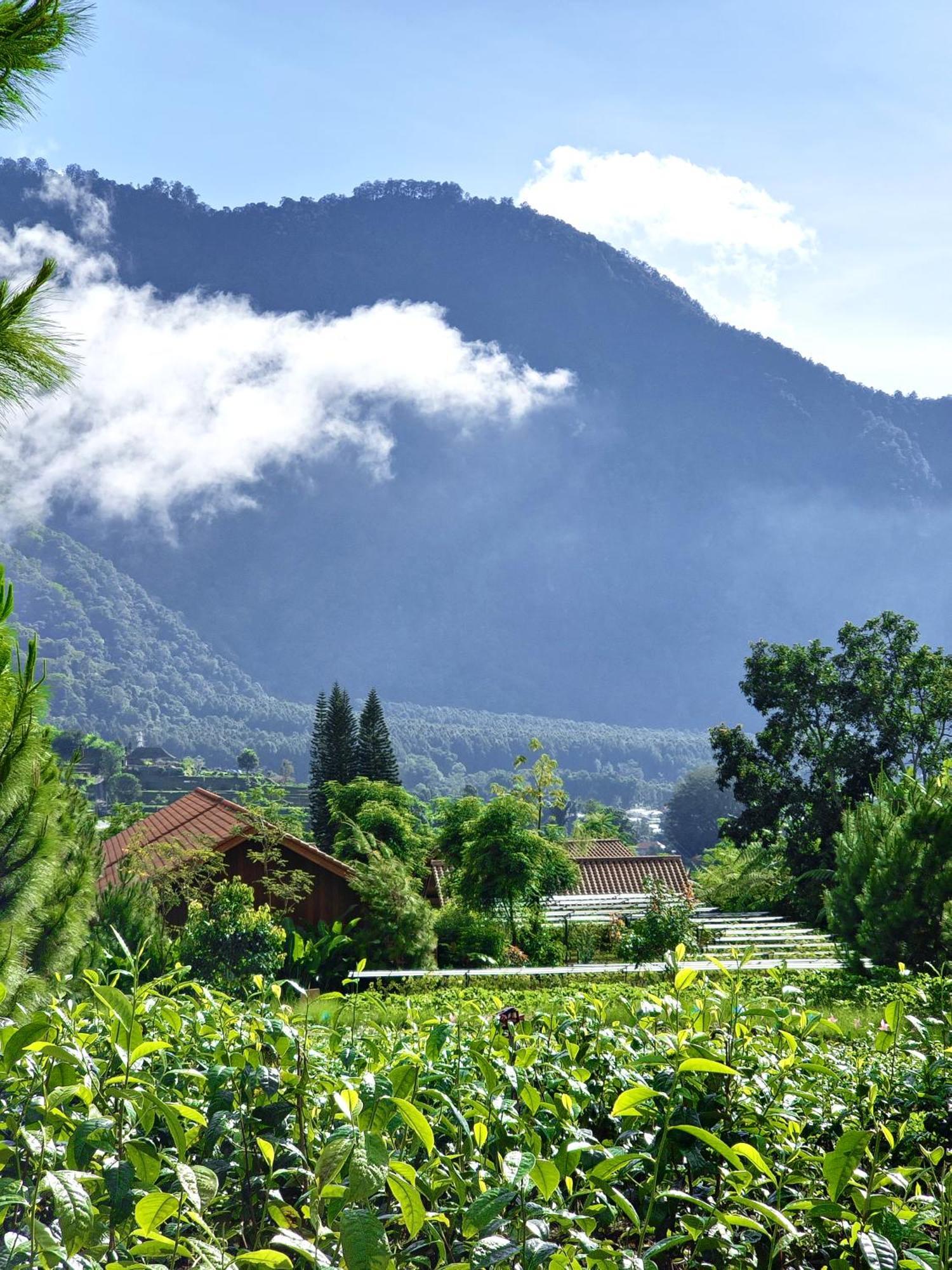 Hotel Dusun Bedugul Asri Zewnętrze zdjęcie